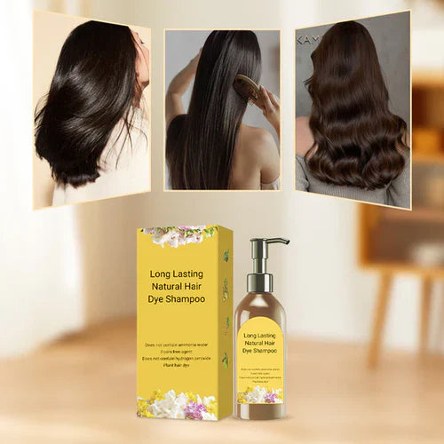 Hair Dye Shampoo | Hair Dye Colors Coloring Shampoo Dye Colors - Hair Dye Shampoo Japanese Long Lasting Natural Hair Dye Shampoo (Pack of 2)
