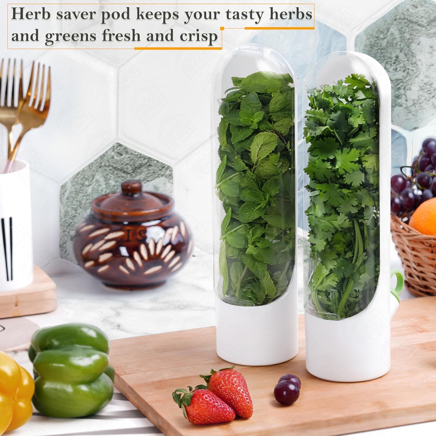 Herb Saver Pod Container | Storage Box Plastic Containers Kitchen Food Fridge Organizer - Pack of 1 - Herb Saver Pod Container