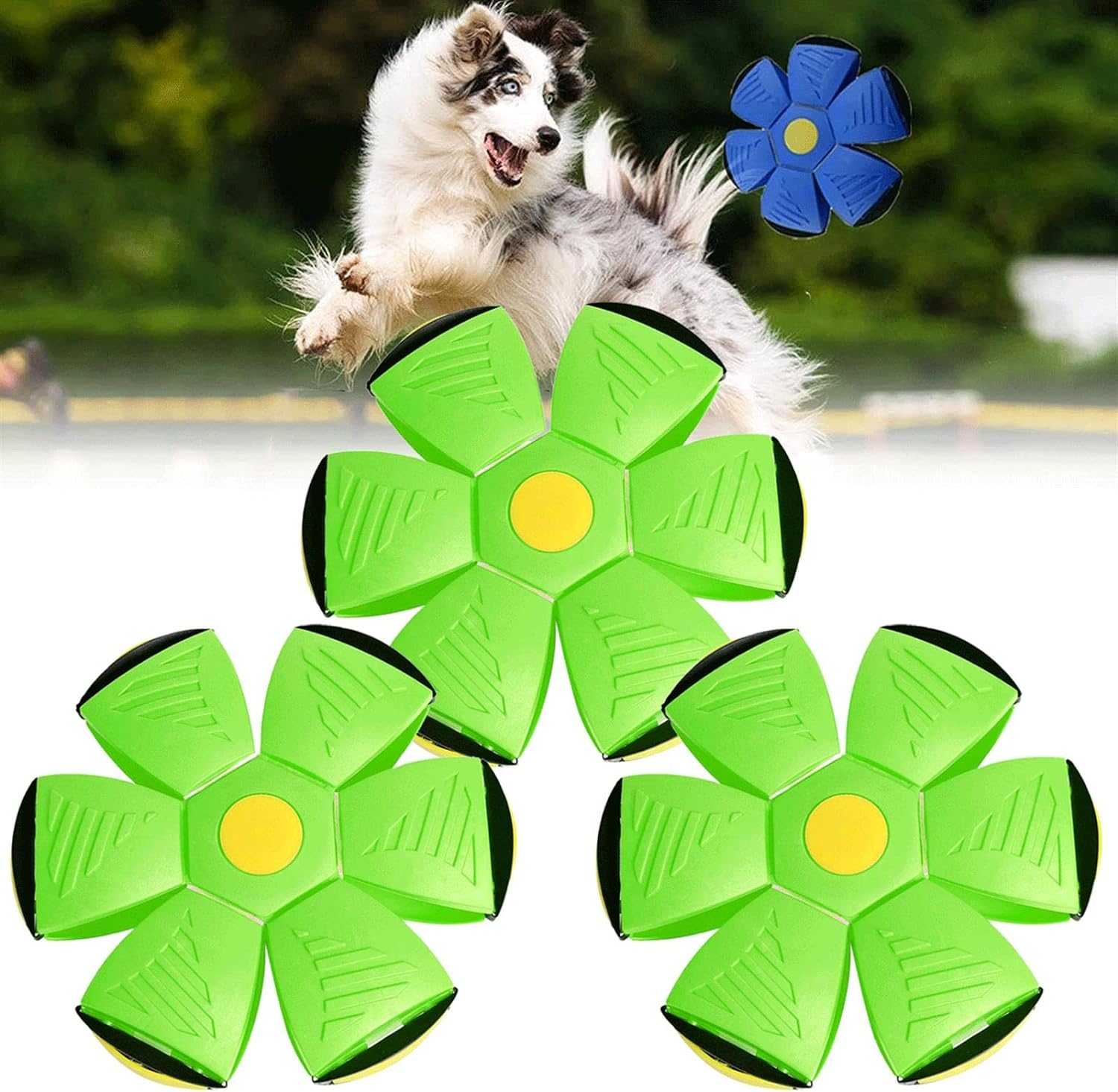 Magic Ball Toy For Pet | Shop Pet Dog Cat Playing Toys Accessories Games Dog Gift Magic Ball Toy For Pet