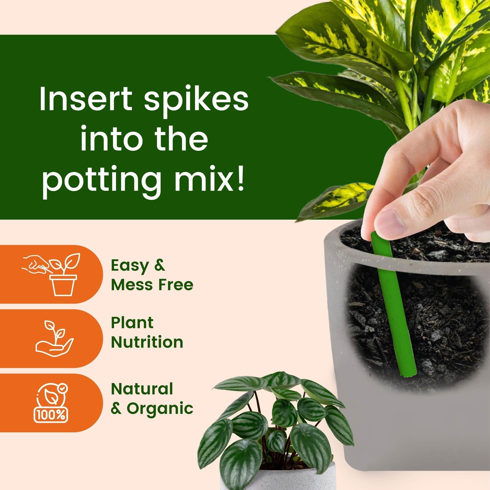 Magic Sticks - (Pack of 2 - 25 Sticks) | Plant Fertilizer Grow Plants Natural And Organic Fertilizer For Plants - Fertilizer Sticks - (Pack of 50 Sticks)