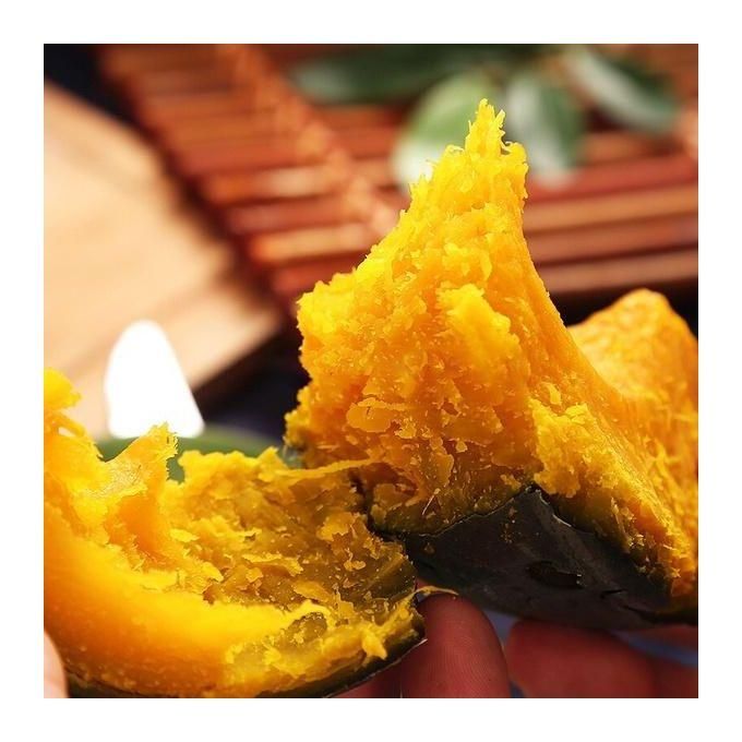 Organic Green Beibei Pumpkin Seeds (Pack of 20 Seeds) | Pumpkin Seeds Benefits Organic Seed Green Pumpkin Plant - Organic Green Beibei Pumpkin Seeds (Pack of 20 Seeds)