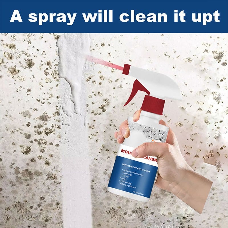 Pest & mould Cleaning Foam Spray (Pack of 2) Pest & mould Cleaning Foam Spray (Pack of 2)