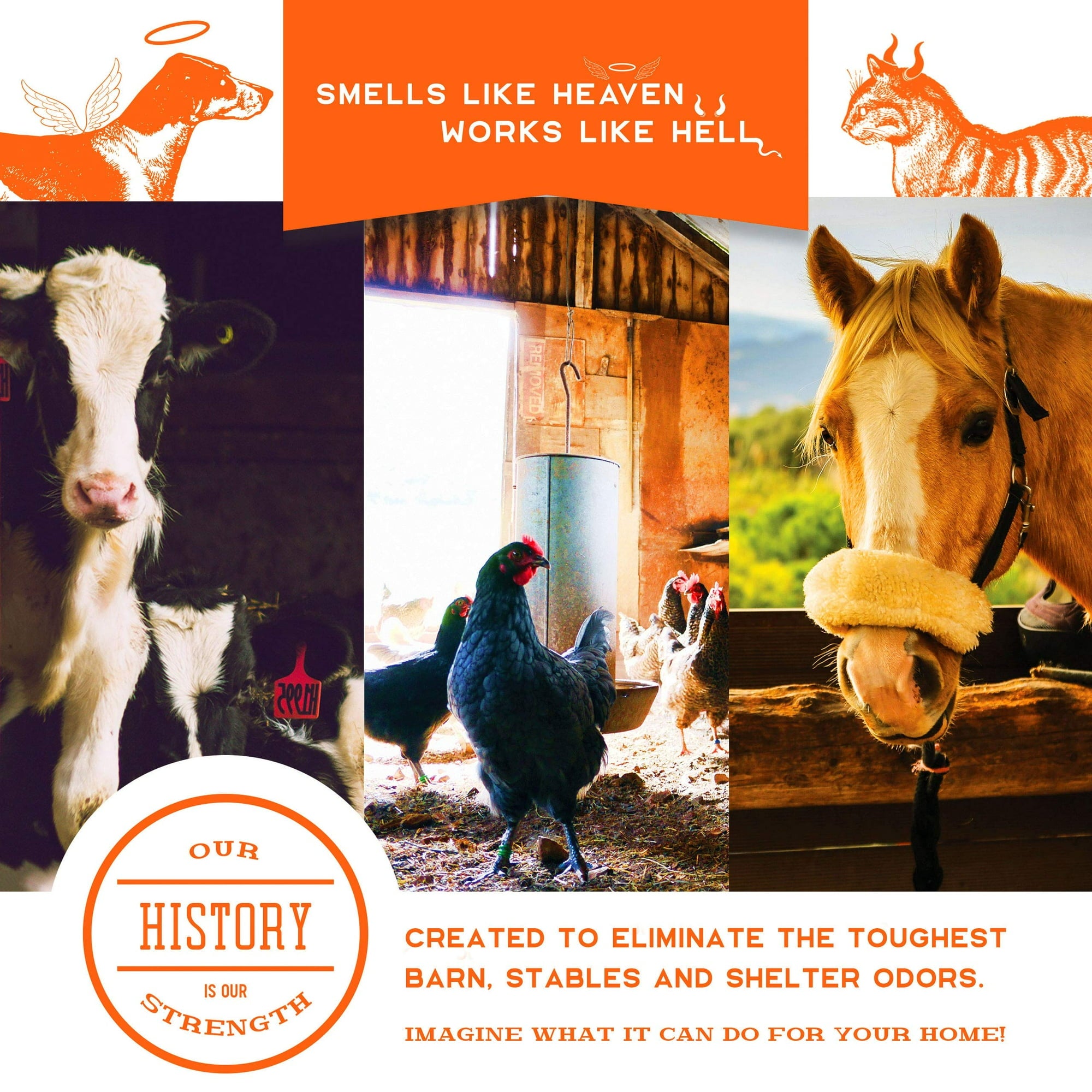 Pet Odor Spray (Pack of 2) | Spray Bottle Odor Control Remover Dog Pee Smell Eliminator - Pet Odor Spray (Pack of 2)