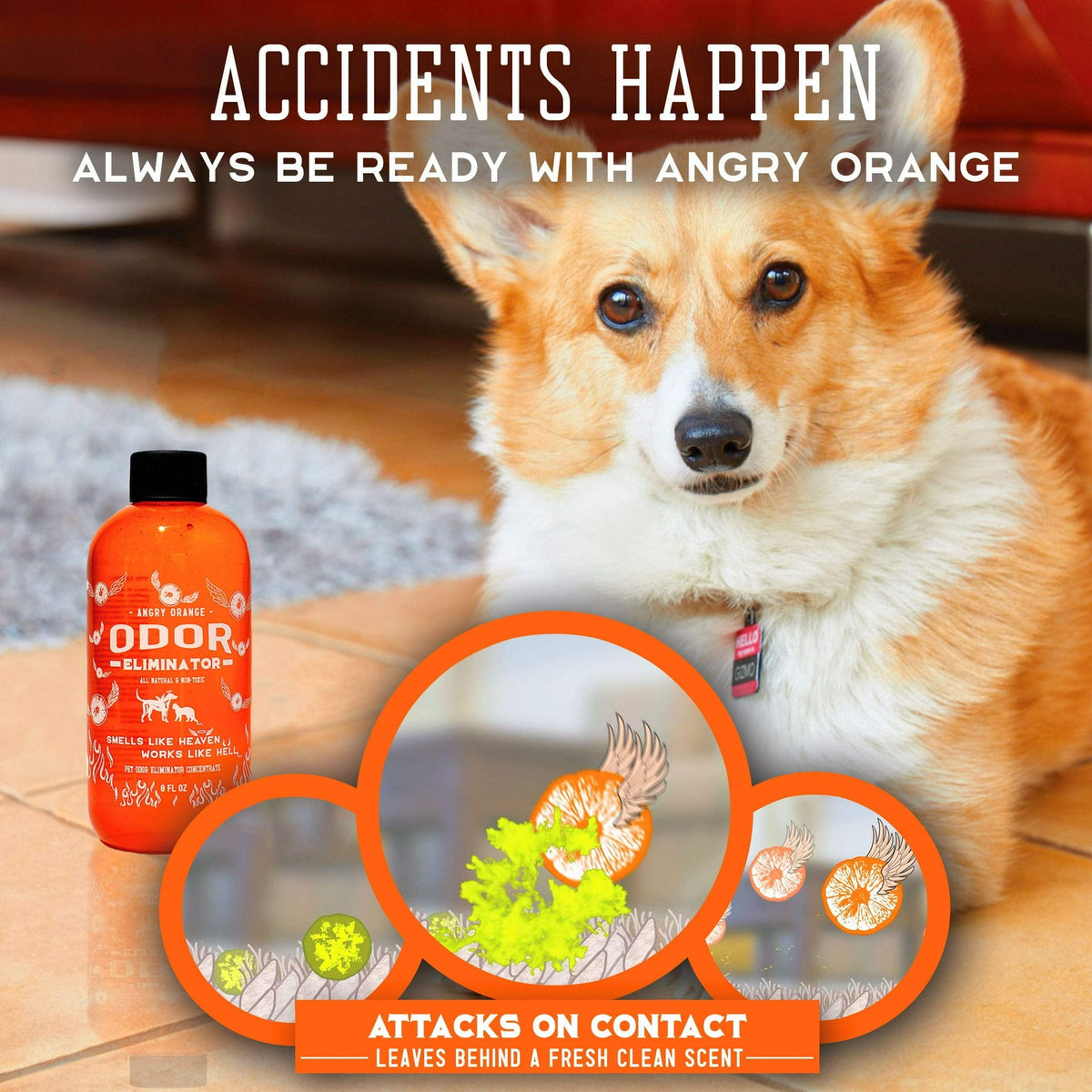 Pet Odor Spray (Set of 2) | Spray Bottle Odor Control Remover Dog Pee Smell Eliminator Pet Odor Spray (Set of 2)