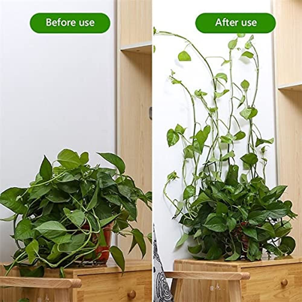 Plant Fixing Clips (Set of 60) | Climbing Plant Creeper Green House Succulent Plants Planter Plant Fixing Clips (Set of 60)