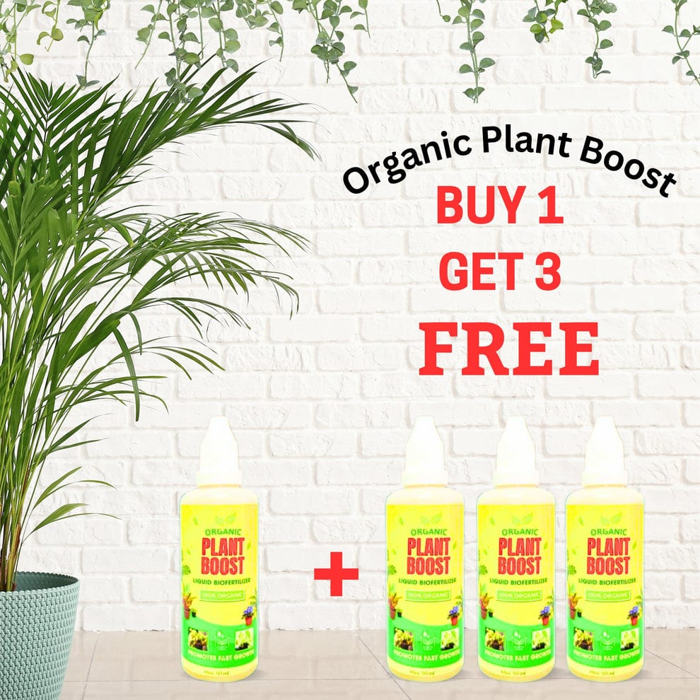 Plant Growth Liquid Fertiliser | Plant Nutrients Hormone Fertilizers Growth Regulators In Plant  Plant Growth Liquid Fertiliser (Buy 1 Get 3 Free)