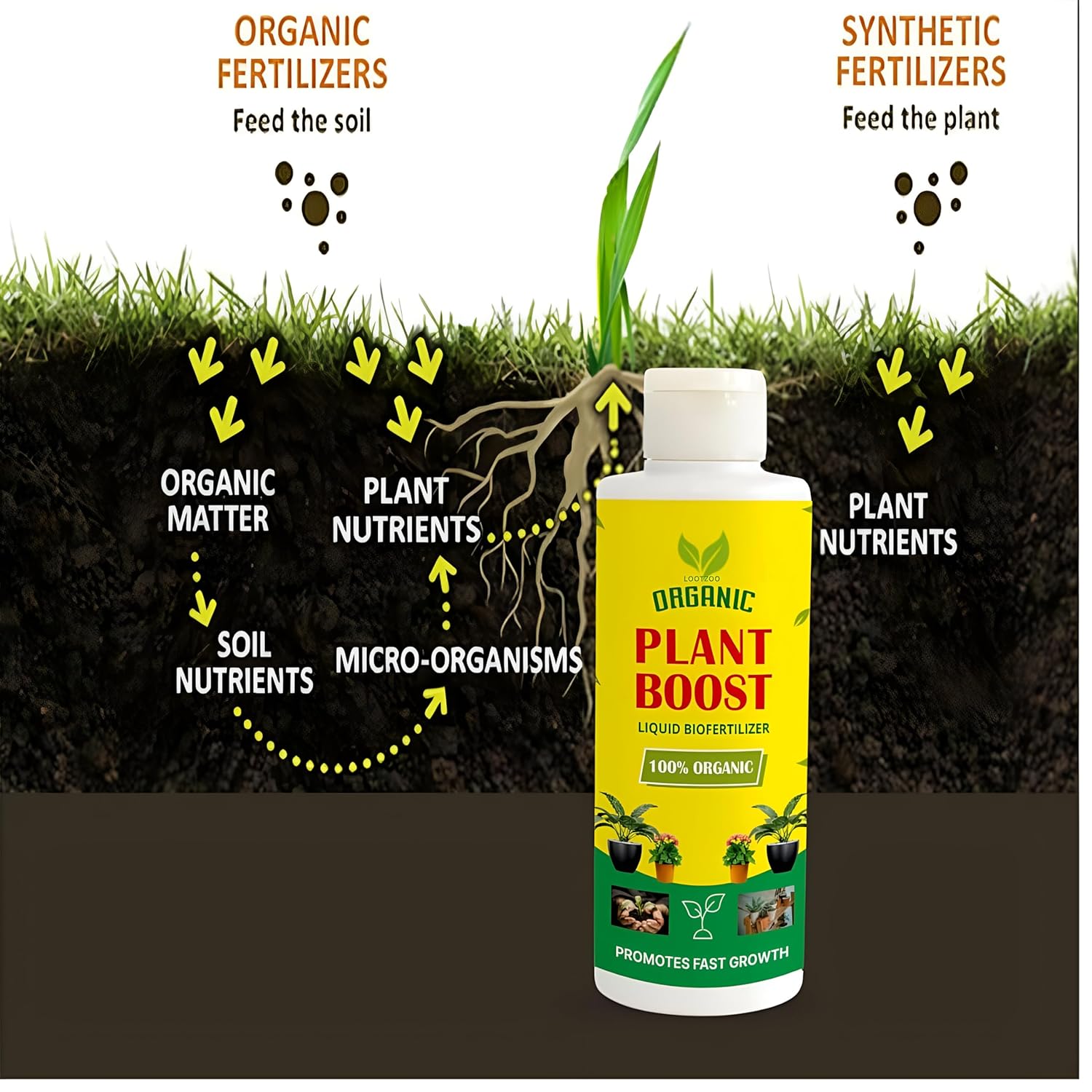 Plant Growth Liquid Fertiliser | Plant Nutrients Hormone Fertilizers Growth Regulators In Plant  Plant Growth Liquid Fertiliser (Buy 1 Get 3 Free)