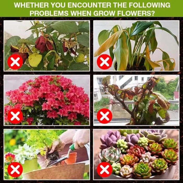 Plant Nutrients Hormone Fertilizers Growth Regulators In Plant - Plant Growth Enhancer  Plant Growth Enhancer