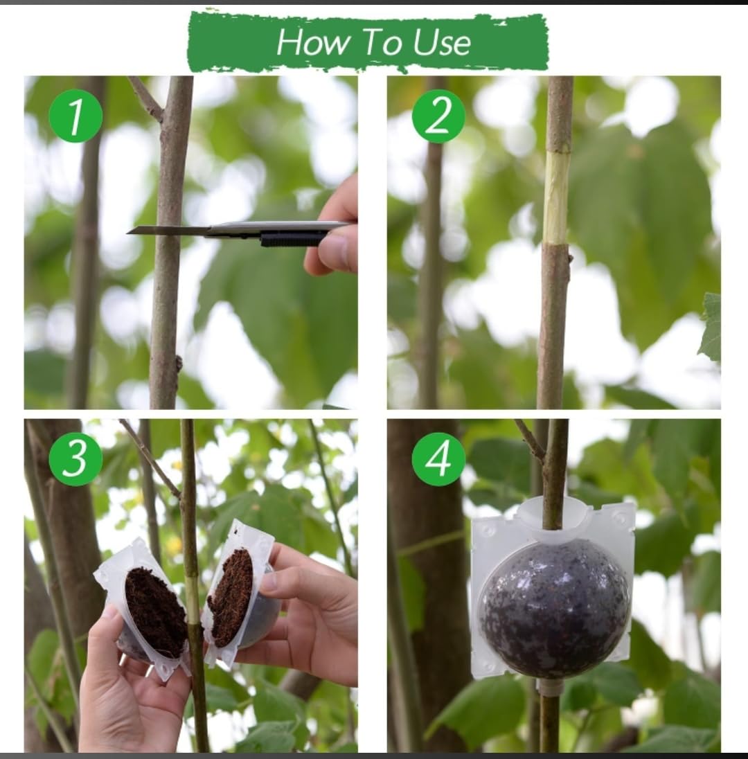 Plant Rooting Balls (Pack of 5 with Free Pot mix) | Vegetable Seeds Flower Grow Bags Tools For Gardening Fertilizer Plant - Plant Rooting Balls (Pack of 5 with Free Pot mix)