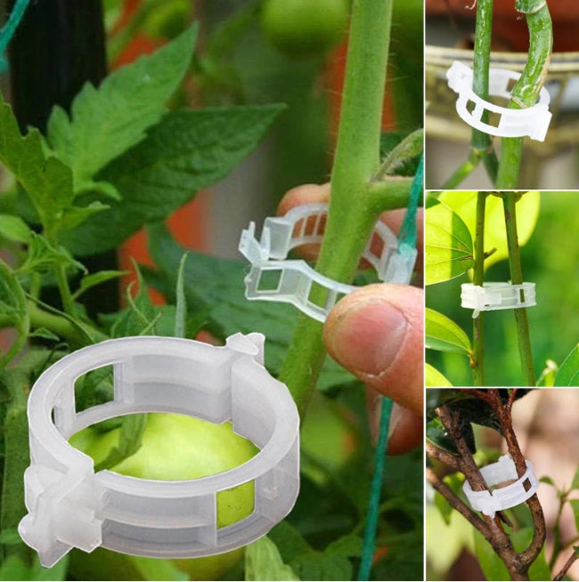 Plant Support Clips (Pack of 50) | Plant Climber Succulent Plants Support Clip Climber - Plant Support Clips (Pack of 50)