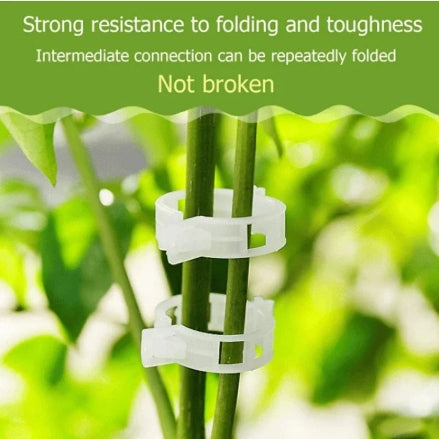 Plant Support Clips (Pack of 50) | Plant Climber Succulent Plants Support Clip Climber - Plant Support Clips (Pack of 50)