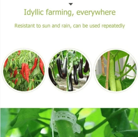 Plant Support Clips (Pack of 50) | Plant Climber Succulent Plants Support Clip Climber - Plant Support Clips (Pack of 50)