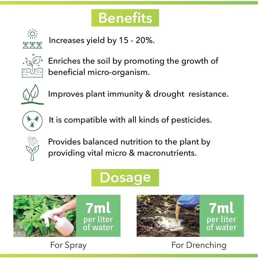 Pure Neem Plant Protection Spray (Pack of 2) | Neem Oil Succulent Plants Herb Plant Trees Plant Protection spray - Pure Neem Plant Protection Spray (Pack of 2)