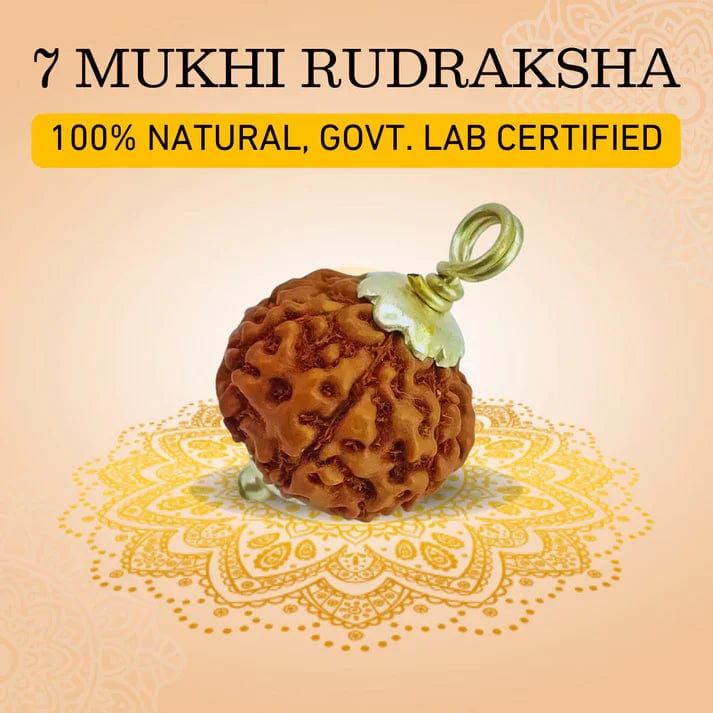 Rudraksha Pendant | 7 Mukhi Rudraksha Seven Faced Rudraksha Beads Pendant Benefits 7 Mukhi Rudraksha Silver Capped Pendant