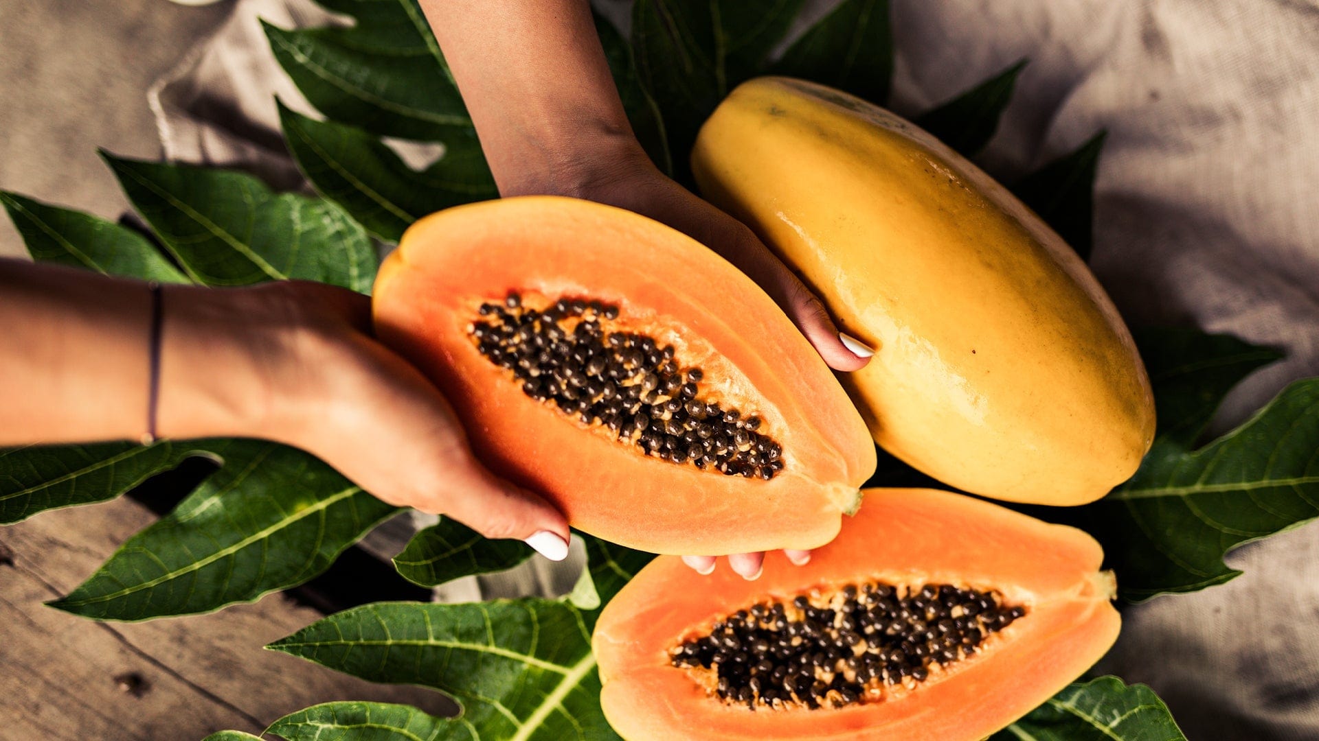 Special Golden Papaya Seeds | Papaya Dietary Fiber Nutrients Enzyme Vitamins Pack of 1 (50 seeds) Special Golden Papaya Seeds (50 seeds)