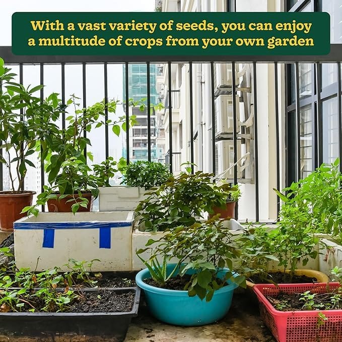 Vegetable Seed Kit (Pack of 35 Different Seeds) | Vegetable Seeds Veggies Mixed Seed Plants Packets Vegetable Seed Kit (Pack of 35 Different Seeds)