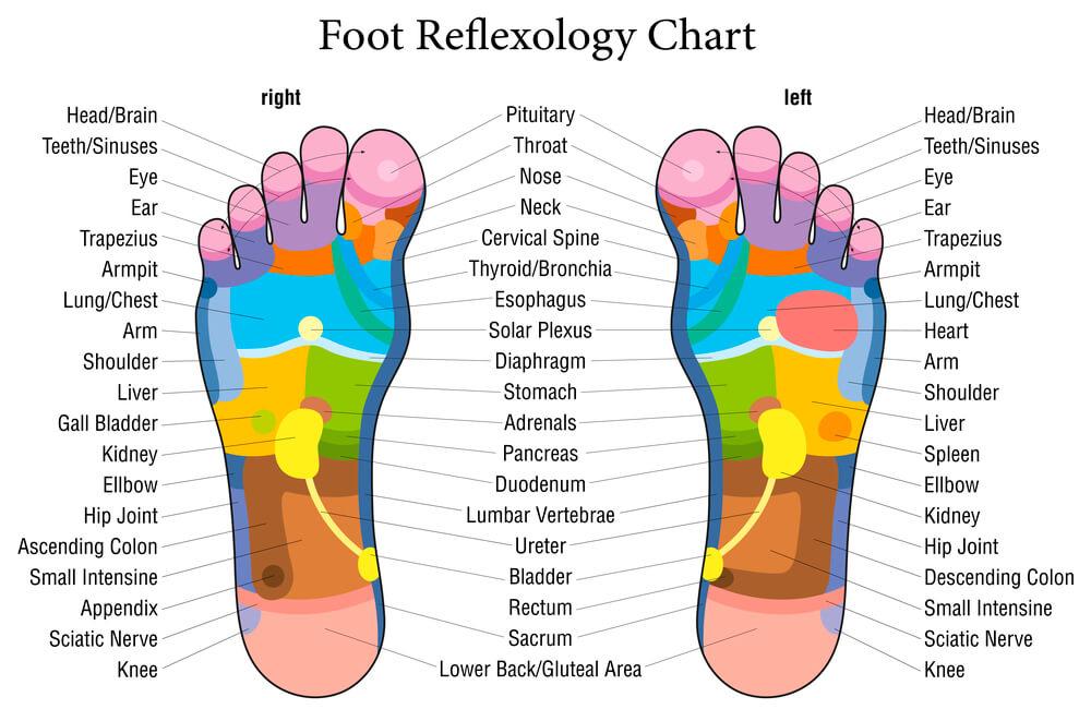 Acupressure Slippers Massage Footwears Reflexology Slipper Inicio Acupressure Slippers