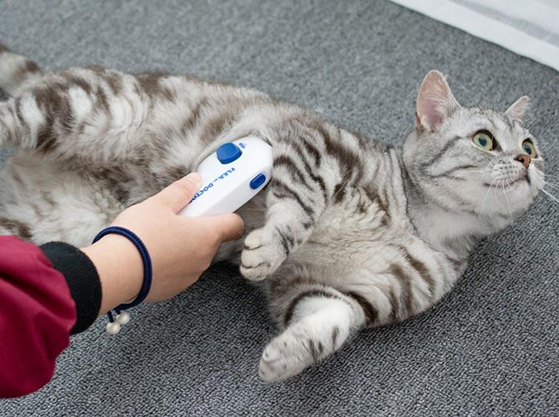 Electric Flea Comb For Dogs Electronic Tick Zapper Electric Flea Comb