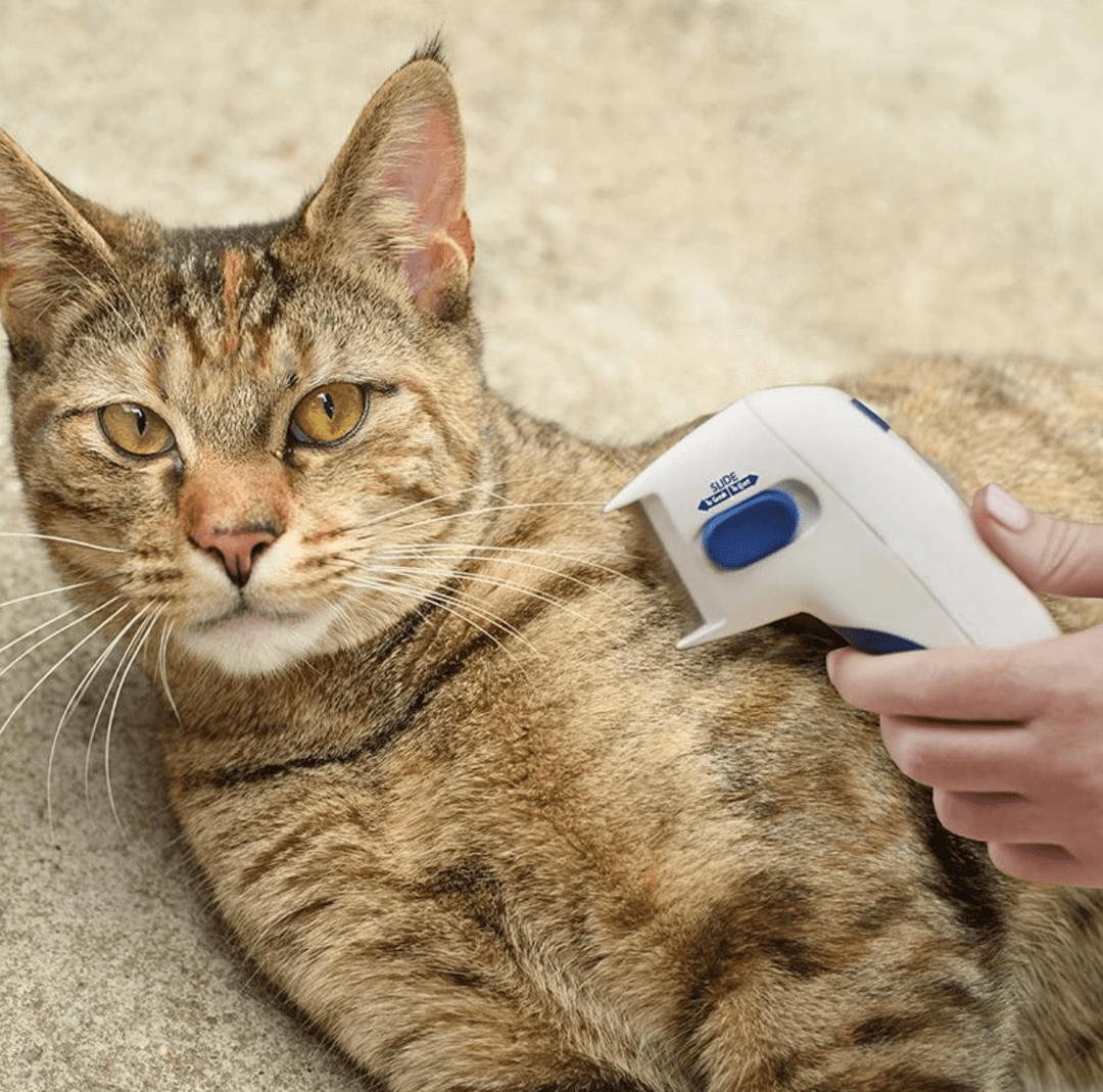 Electric Flea Comb For Dogs Electronic Tick Zapper Electric Flea Comb