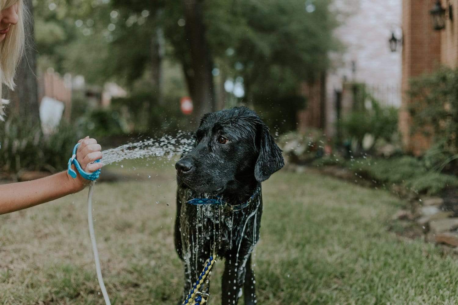Pet Water Sprayer Dog Bathing Faucet PEt Shower Hose Tool Pet Shower Hose